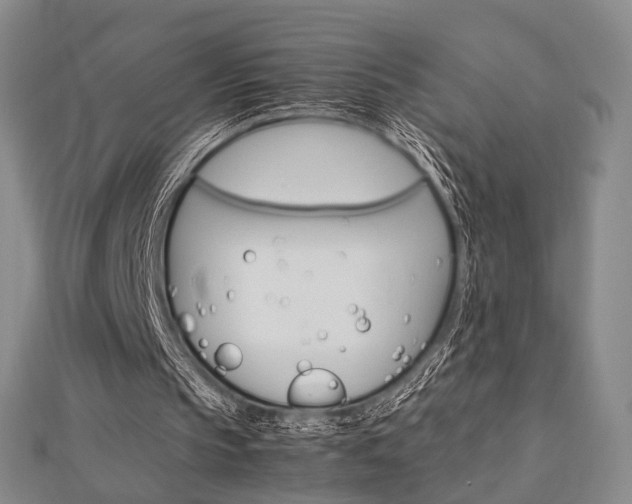 X0000112870145200908211037