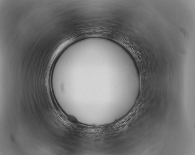 X0000112870147200908211037