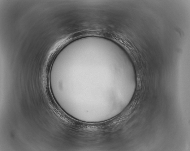 X0000112870149200908211037