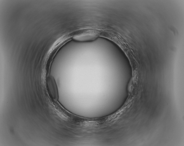 X0000112870150200908211037