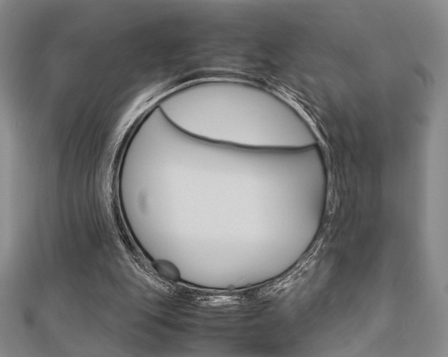 X0000112870151200908211037