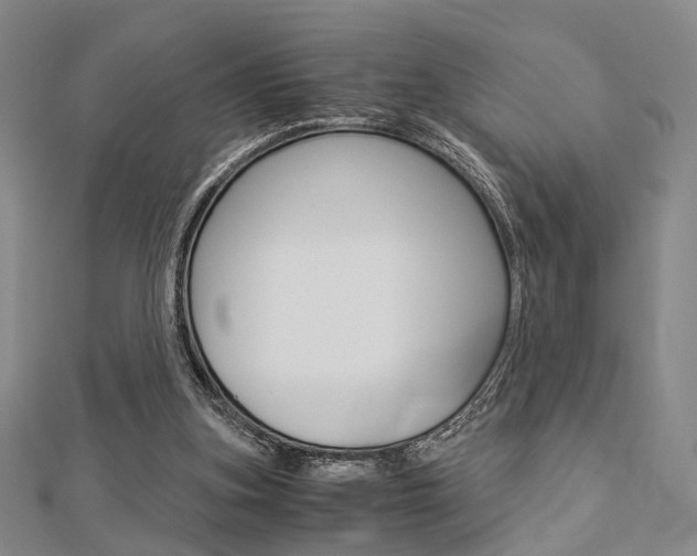 X0000112870155200908211037