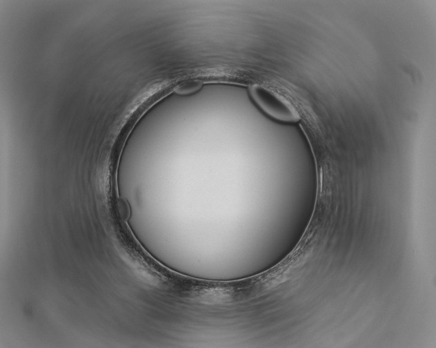 X0000112870156200908211037