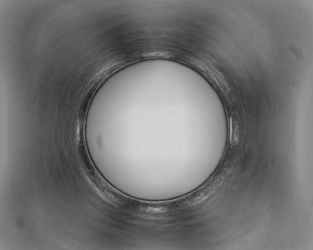 X0000112870157200908211037
