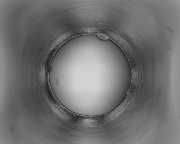 X0000112870158200908211037