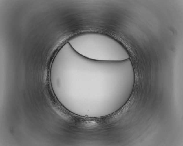 X0000112870159200908211037