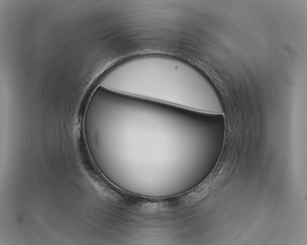 X0000112870160200908211037