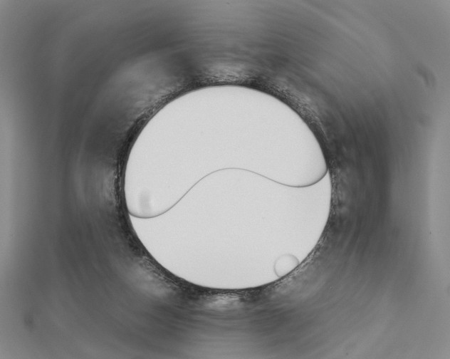 X0000112870162200908211037