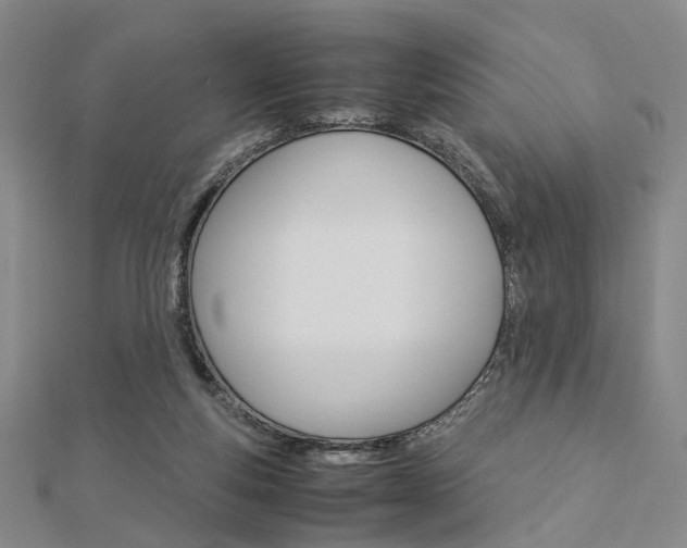 X0000112870163200908211037