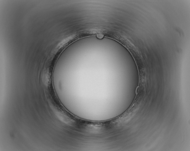 X0000112870164200908211037