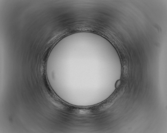 X0000112870165200908211037