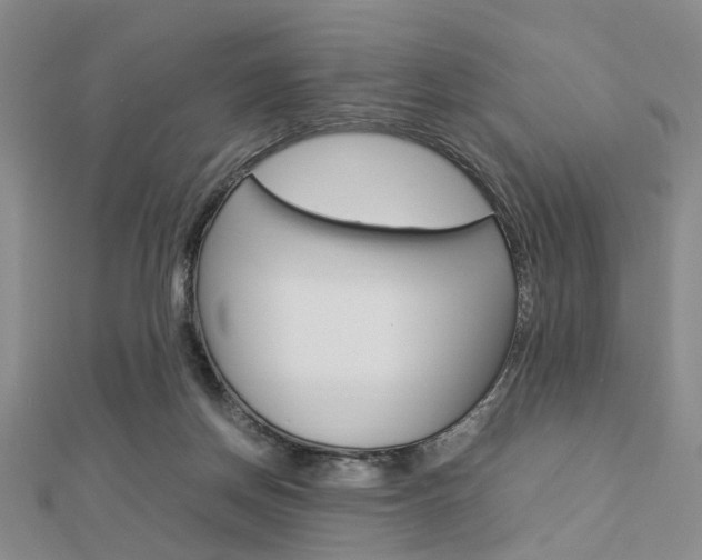 X0000112870166200908211037