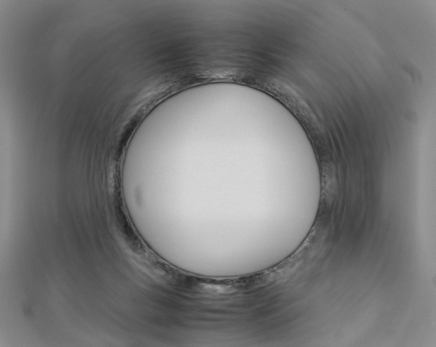 X0000112870167200908211037