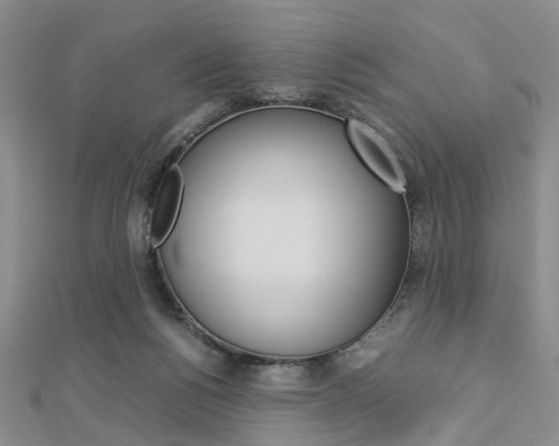 X0000112870168200908211037