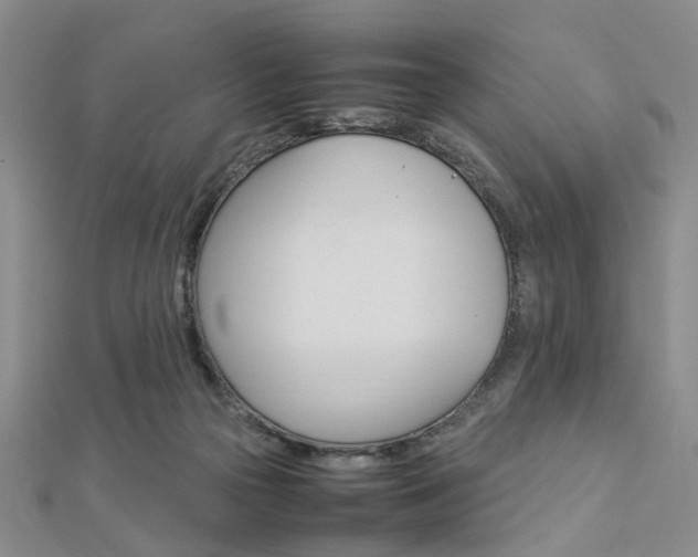 X0000112870169200908211037