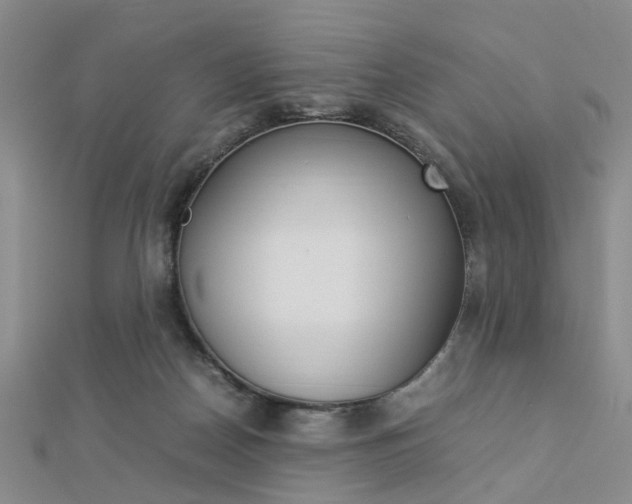X0000112870170200908211037