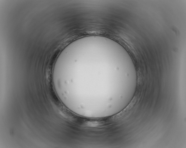 X0000112870171200908211037