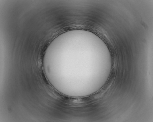 X0000112870173200908211037