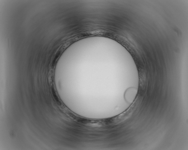 X0000112870175200908211037