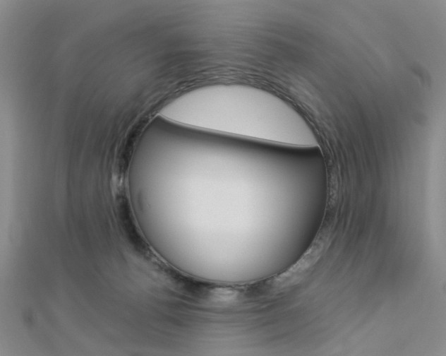X0000112870176200908211037