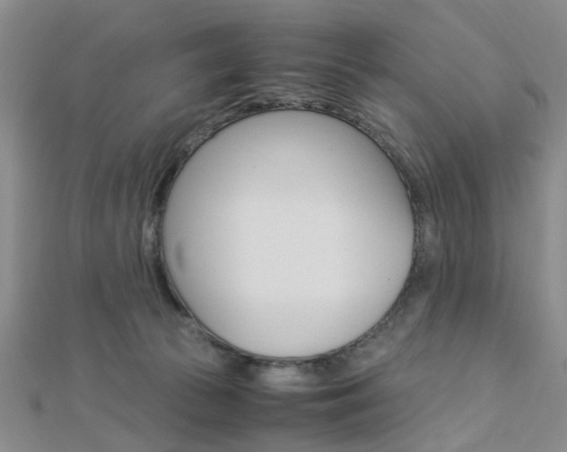 X0000112870177200908211037