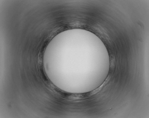 X0000112870179200908211037