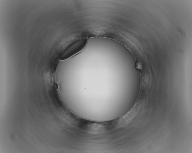 X0000112870180200908211037