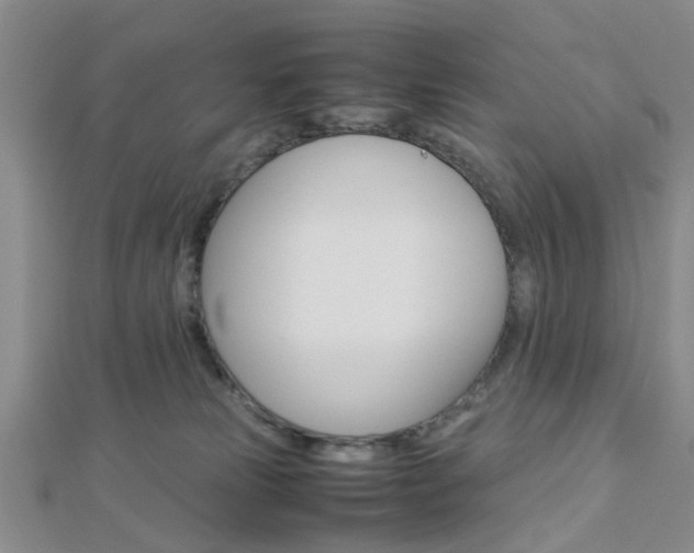 X0000112870181200908211037