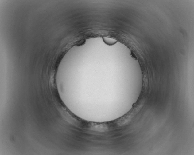 X0000112870185200908211038
