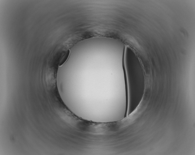 X0000112870186200908211038