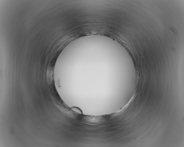 X0000112870191200908211038