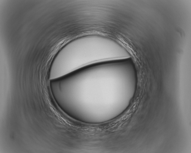 X0000112870193200908211037