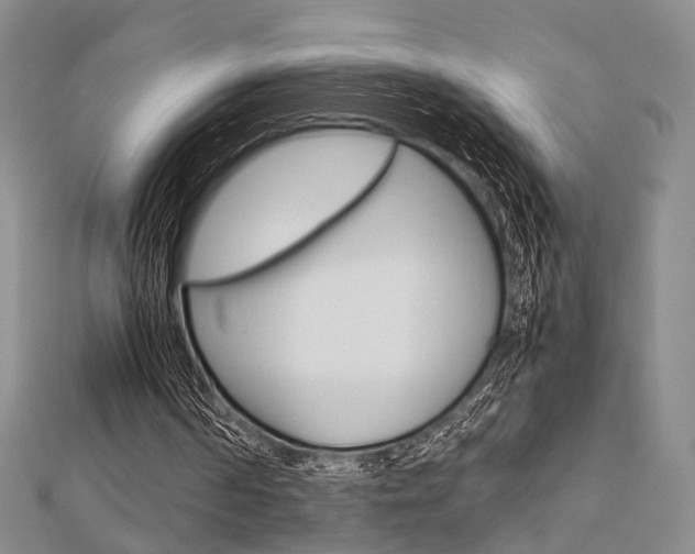 X0000112870194200908211037