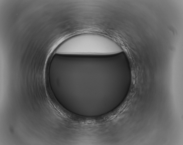 X0000112870196200908211037