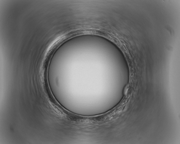 X0000112870197200908211037