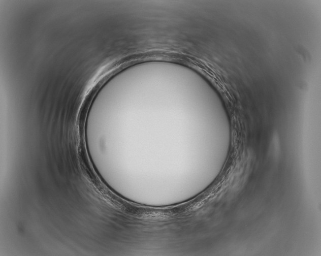 X0000112870198200908211037