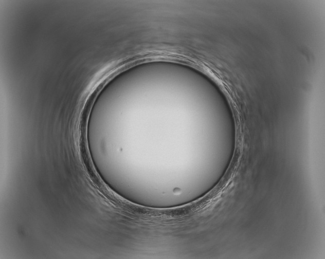 X0000112870199200908211037