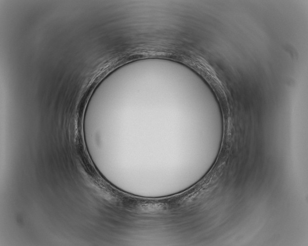 X0000112870202200908211037