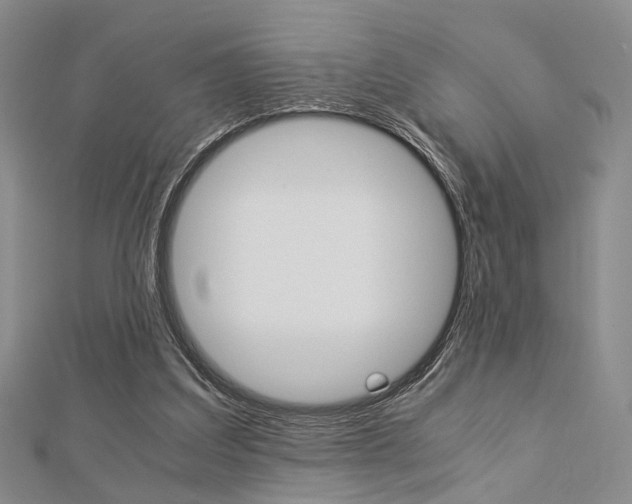 X0000112870203200908211037