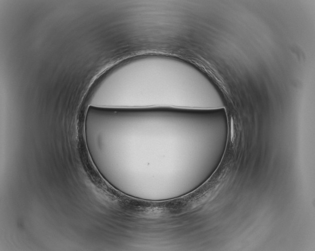 X0000112870204200908211037