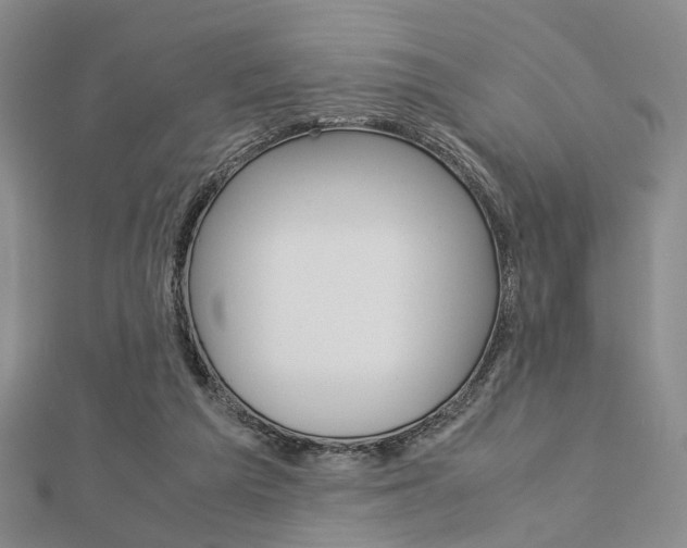 X0000112870209200908211037