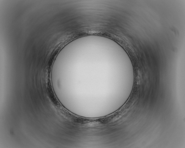 X0000112870210200908211037