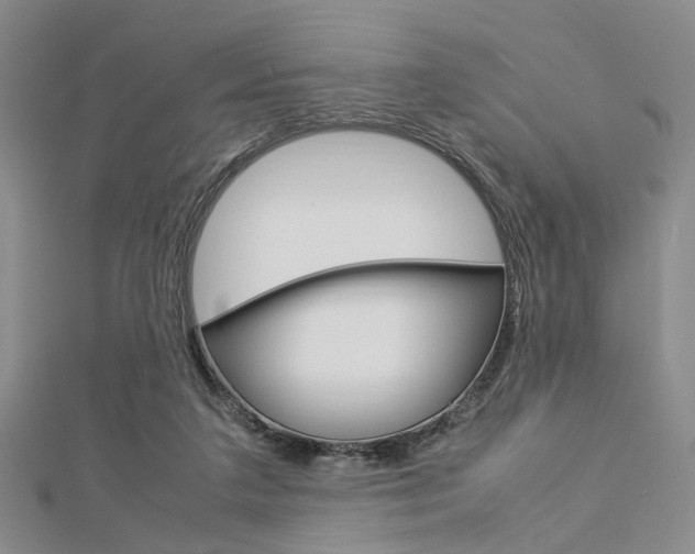 X0000112870211200908211037