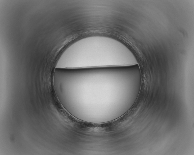 X0000112870212200908211037