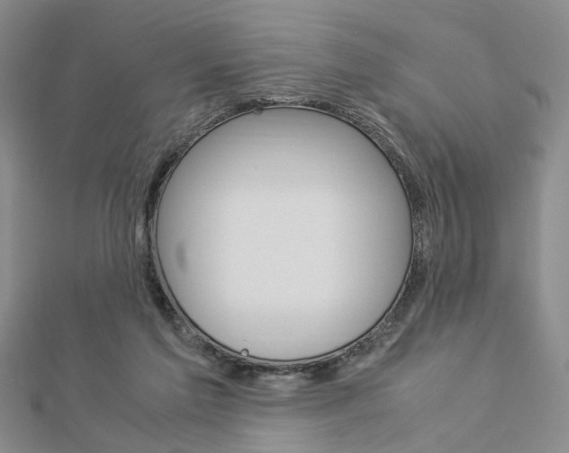 X0000112870213200908211037