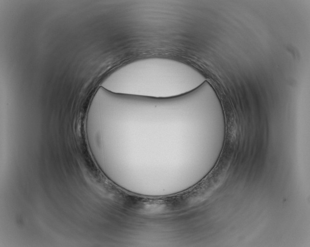 X0000112870214200908211037