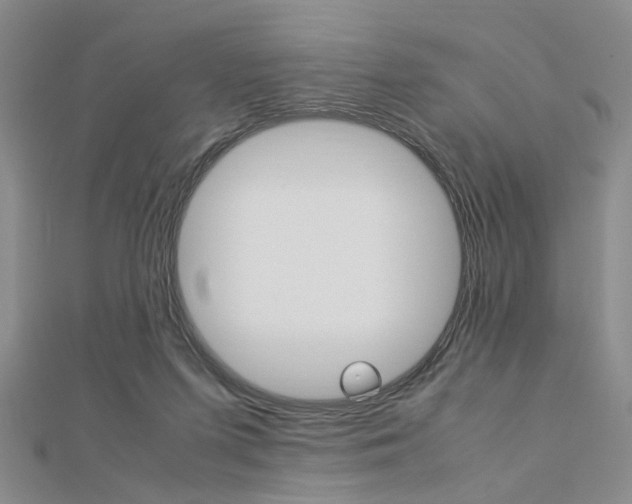 X0000112870215200908211037
