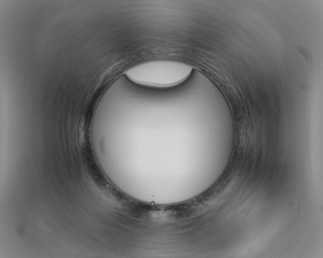 X0000112870216200908211037