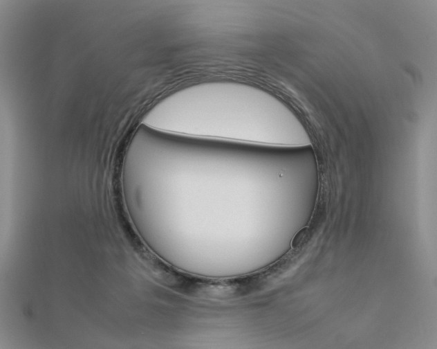 X0000112870217200908211037
