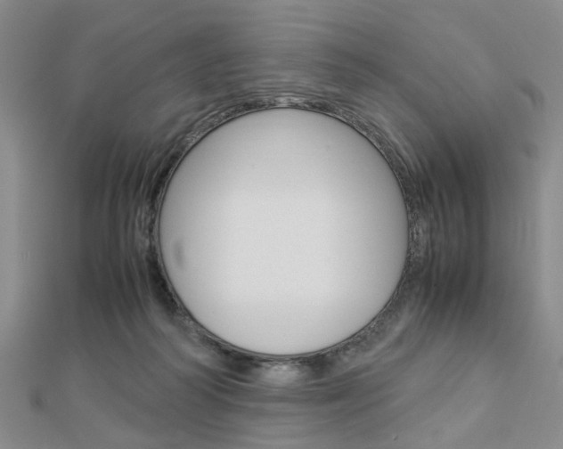 X0000112870218200908211037